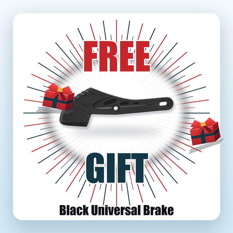 Flying Eagle F6s Falcon Pro Titanium Skates